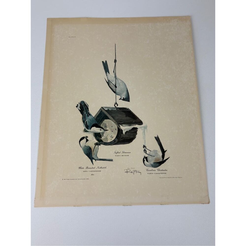 Vintage 1963 Ray Harm Feeder Group Signed Limited Edition Print Lithograph 16x20